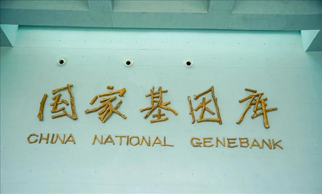 图片101.png