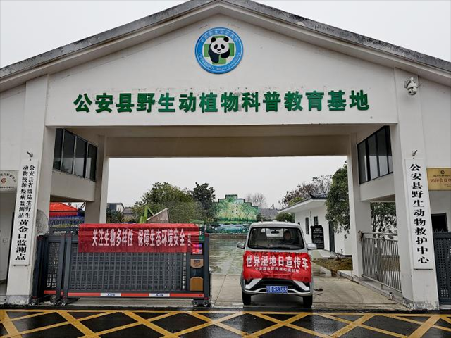 图片11.png