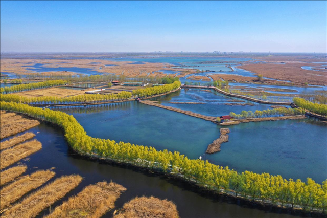 近年来，河北省努力打造首都生态安全屏障，坚持全面保护修复，统筹山水林田湖草系统治理，全面落实河长制、湖长制，加快营造良好人居环境。