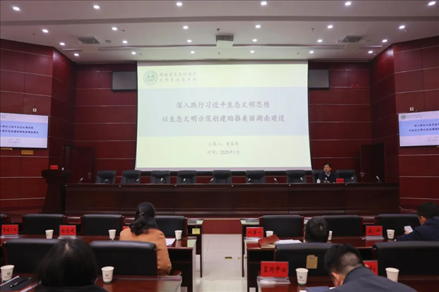 图片186.png